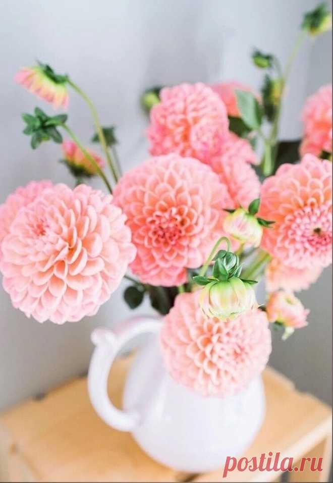 i (745×1080)