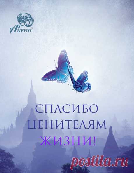 Спасибо ценителям жизни!
Что в этой странице нашли,
своих отражение мыслей..
И искорку светлой души!