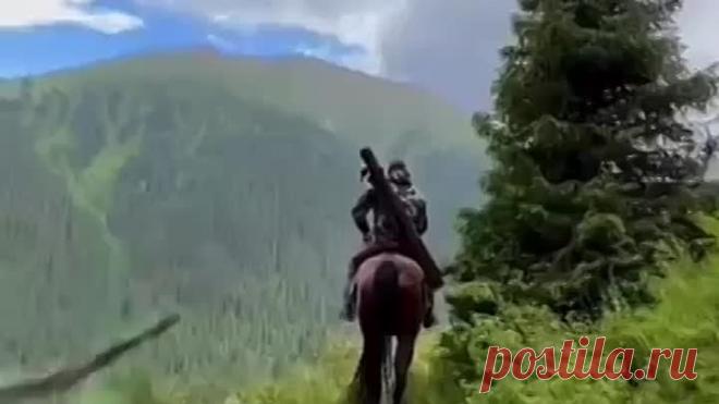 VID_20230111_065851_226.mp4