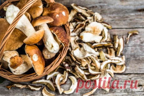Grybų ruošimo gudrybės ir paslaptys | Manonamai.lt