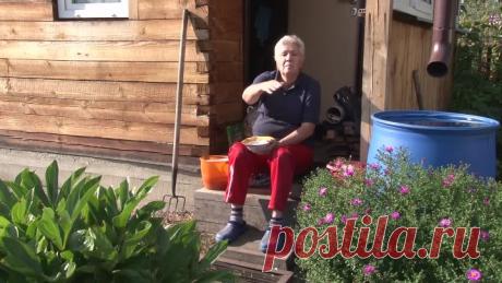 Польза обычной СОЛИ на огороде