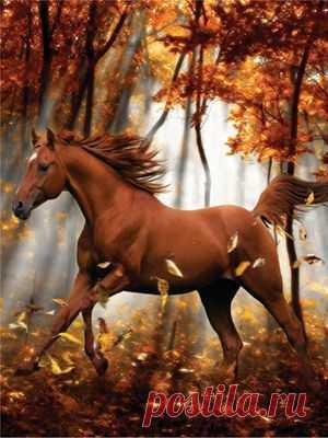 Iiiihum!...Uhm, This Place Is Really…  Obsession  -  
Источник:  pollyannapumpkin.tumblr.com  
 |  Pinterest • Всемирный каталог идей