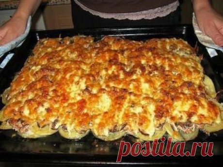 Это блюдо из фарша затмит любые котлеты! Это блюдо из фарша затмит любые котлеты! 
40 минут в духовке — и этот шедевр готов. Рецепт — настоящая бомба! 
 
Ингредиенты: картофель (6шт), фарш свинина (400г), грибы (100-150г), лук (1шт), сметана (1 стакан), яйцо, чеснок (2 дольки), соль, перец.