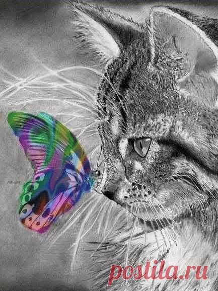 Людмила Коваль