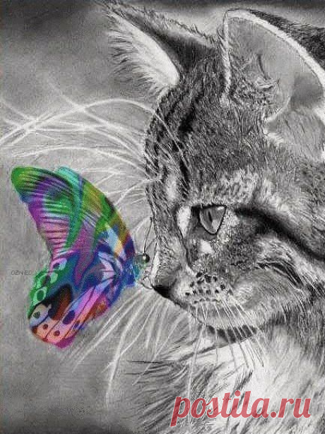 Людмила Коваль