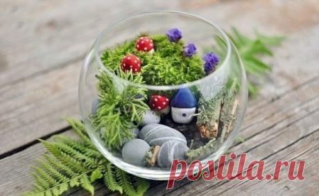 Вечнозеленый маленький мир
Нам понадобится:
1) стеклянная емкость, возможно небольшая ваза "аквариум", как у нас, или обычная литровая баночка, что есть под рукой
2) немного земли или песка, только нужно проследить, чтобы там не было насекомых
3) несколько маленьких камушков
4) кусочек сухого мха
5) керамическая масса/глина/пластика, в ообщем то, из чего вам будет удобней и привычней лепить
6) акриловые краски и кисти
7) различные сухие цветы, лесные веточки и палочки