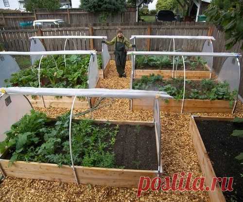 Посадка растений в короб-парник, сделанный своими руками