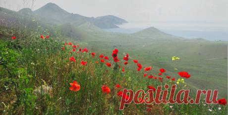 Весенний Крым