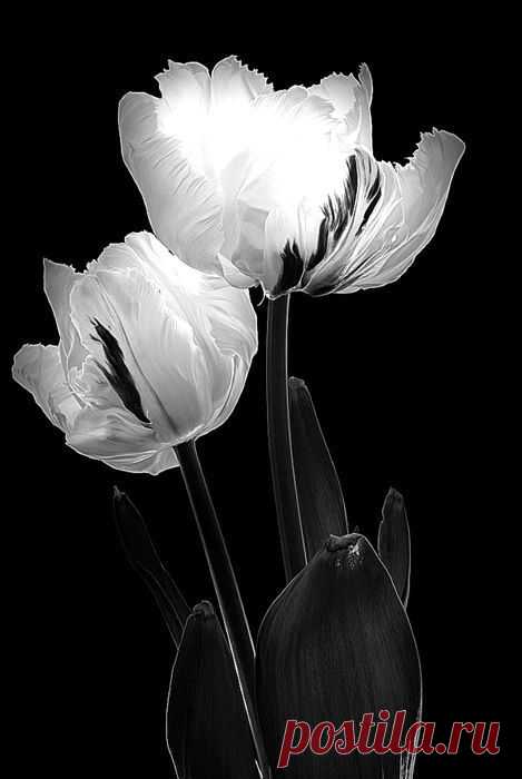 (28) Pinterest