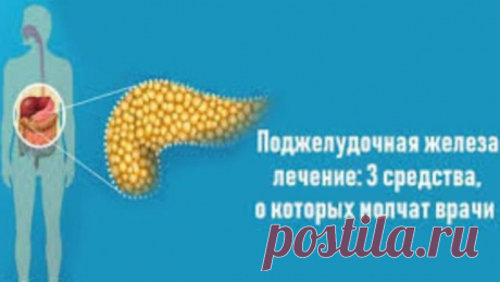 Для лечения поджелудочной есть 3 средства, о которых не рассказывают врачи