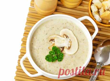 Грибной суп (Käsesuppe) с сыром и мясным фаршем — Фактор Вкуса