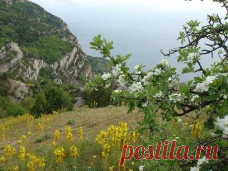 Весенний Крым