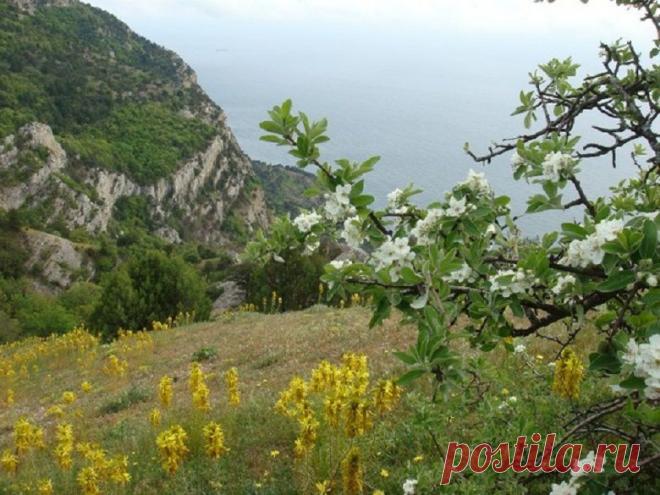 Весенний Крым