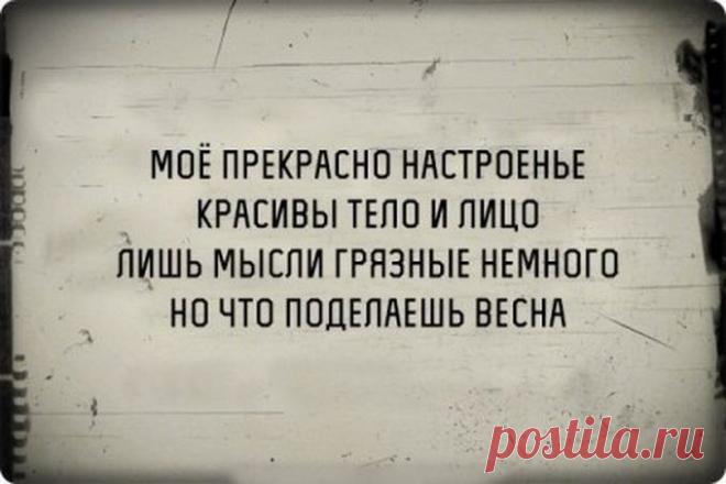 Fishki.net - страница №2