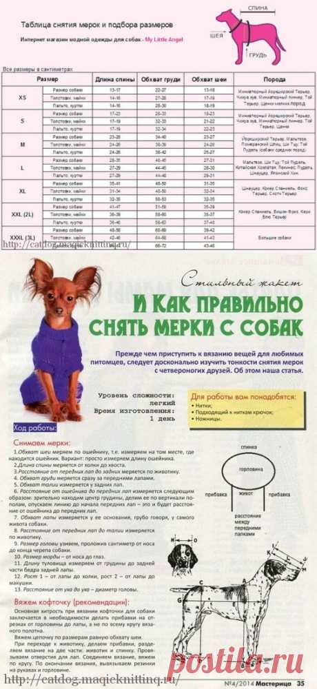 Как снять мерки с собаки | Одежда для кошек и собак