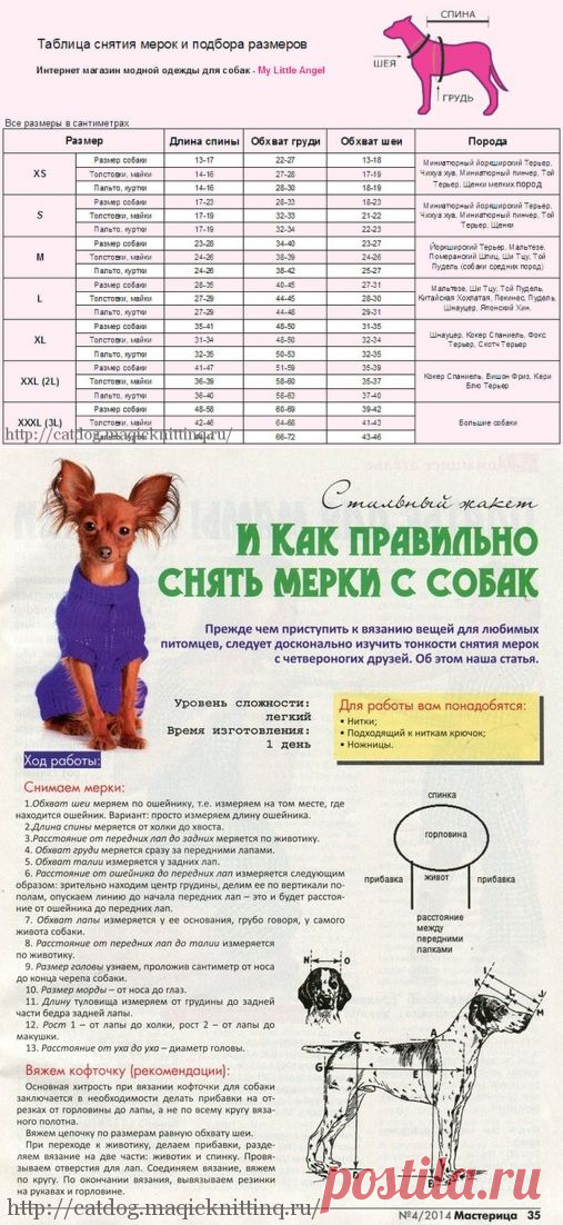 Как снять мерки с собаки | Одежда для кошек и собак