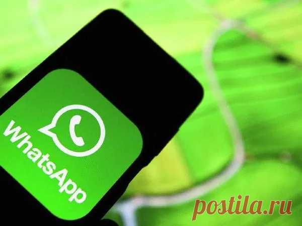 Фейк: открытки в WhatsApp могут лишить пользователя аккаунта в мессенджере | 360°
