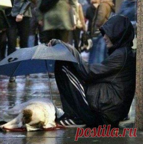 Милосердие не бывает чрезмерным.(Фрэнсис Бэкон)