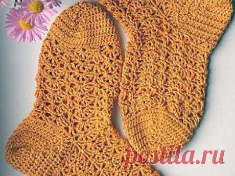 Дневник Montileda