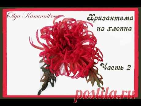 Хризантема из тонкого хлопка. Часть 2
