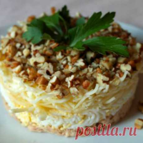 9 вкуснейших салатов на каждый день! - МирТесен