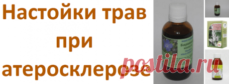 Настойки для лечения атеросклероза (астрагал, омела, клопогон, барвинок) | Советы целительницы