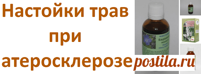 Настойки для лечения атеросклероза (астрагал, омела, клопогон, барвинок) | Советы целительницы