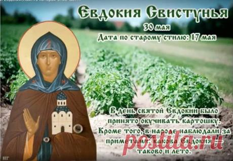 Пусть святая Евдокия оберегает тебя от всех невзгод, а весна принесет новые яркие краски и успех во всех делах! Открытки на Евдокия Свистунья!
