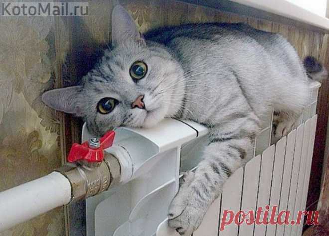 Скоро на всех батареях страны...