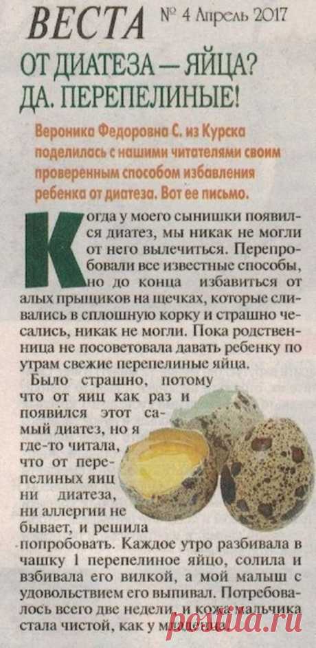 От диатеза перепелиные яйца