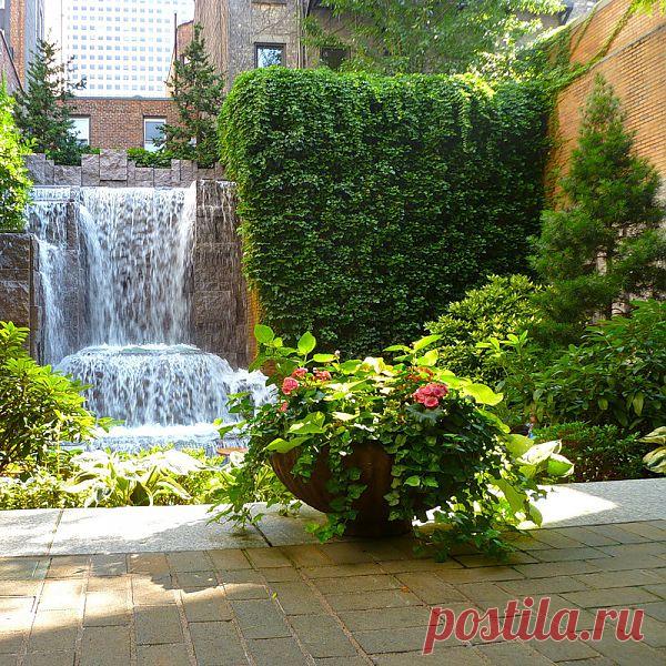 Неожиданно: вертикальный сад.