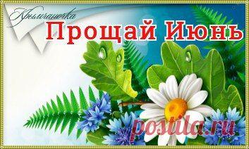 Валюша: Не предлагайте Дружбу --Мимоходом, -Порою даже не Сказав; "Привет" Не собиратель Я кол-ва Народа.. Друзей по Тысячи, поверьте Нет !!..
