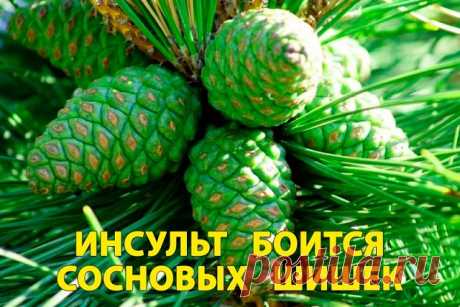 1 непрочитанный чат