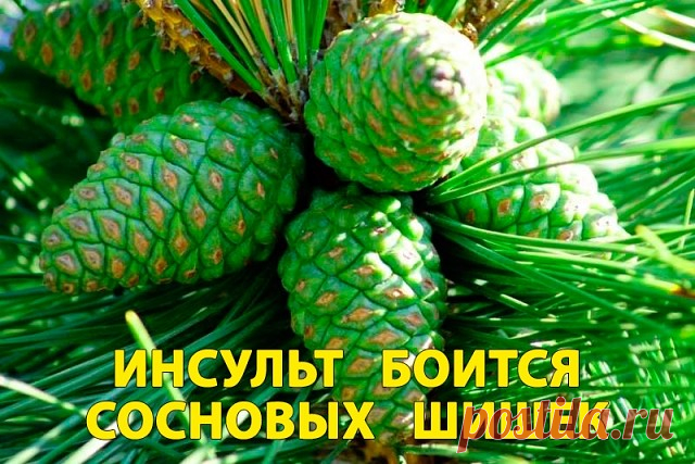 1 непрочитанный чат