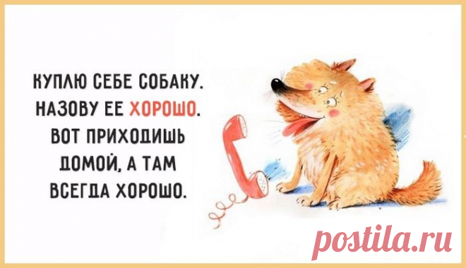17 весёлых картинок, которые раскрасят жизнь во все цвета радуги