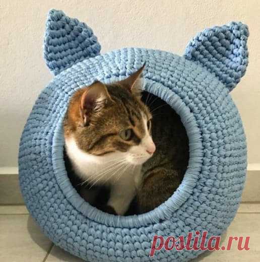 Уютнейший вязаный домик для кота! 📌 Для вязания такого домика идеально подходит трикотажная пряжа (типа Ribbon или T-shirt Yarn) — она держит форму, устойчива к когтям и легко стирается. Обязательно берите крючок №8–10, чтобы петли были плотными и конструкция не деформировалась. <blockquote>Кто тоже мечтает порадовать своего мурлыку — ставьте сердечко! 🧡</blockquote>#вязание  • #кот  спортивные шорты выкройка