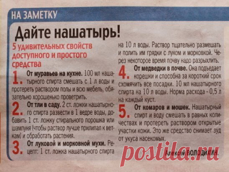 В копилку огородника! Полезные советы ниже  ↓↓↓
