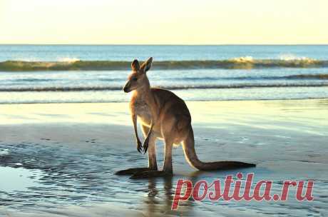 Задумчивая жизнь / Фото дня / Моя Планета