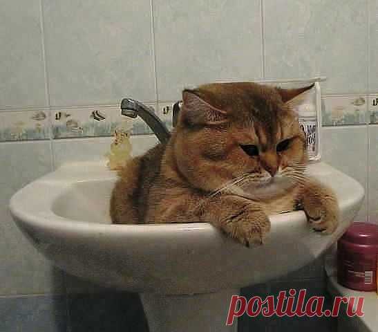 4Ytlwy_ItpQ.jpg (547×480)