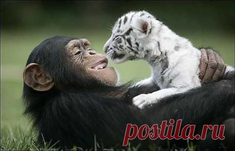 ЗНАКОМСТВО