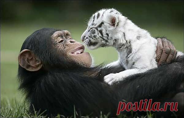 ЗНАКОМСТВО