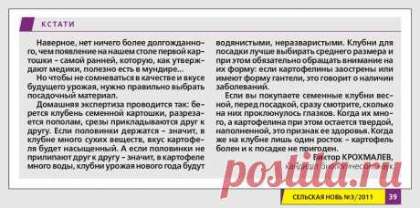 Выбираем картофель на посадку