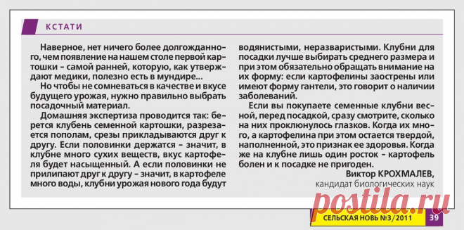 Выбираем картофель на посадку