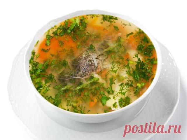Уха из щуки в мультиварке рецепт с фото - 1000.menu