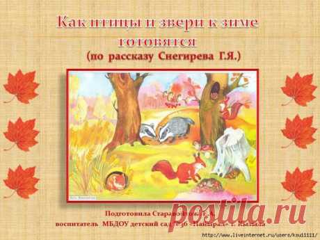 ОСЕНЬ В ЛЕСУ