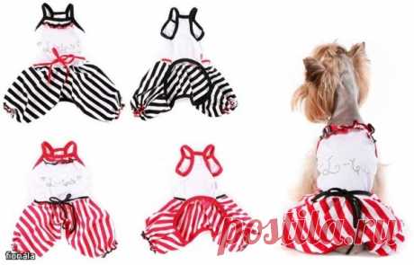 Летний комбинезон с маечкой для собачки