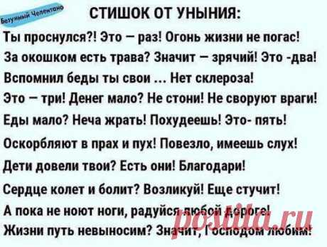 5 непрочитанных чатов