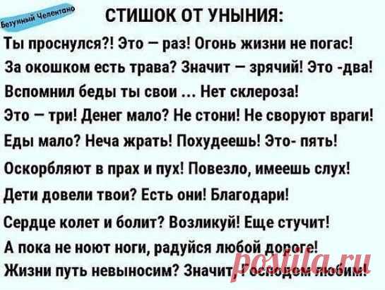 5 непрочитанных чатов