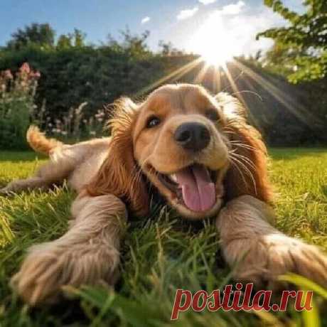 Весельчак