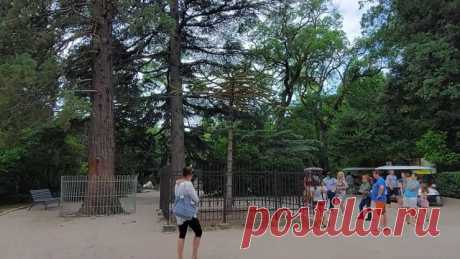 Крым сегодня. Что творится на городском пляже в Алупке, но сначала смотрим Воронцовский парк. Море в Крыму потеплело после прохождения низовки. Купаться можно, но только не в Ялте. В Алупке тоже нежелательно, но народу разве объяснишь - они целый год ждали встречи с морем. 
А перед этим смотрим Воронцовский парк.